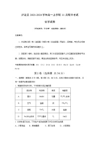 四川省甘孜藏族自治州泸定县2023-2024学年高一上学期11月期中考试化学试题（含答案）