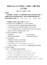 四川省遂宁市射洪市2023-2024学年高二上学期11月期中考试化学试题（含答案）