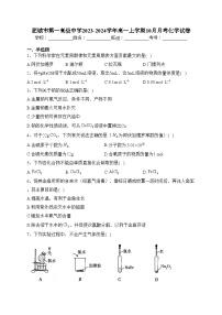 肥城市第一高级中学2023-2024学年高一上学期10月月考化学试卷(含答案)