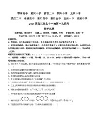 湖北省十一校2023-2024学年高三上学期第一次联考化学试题