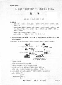 河南省TOP二十名校2023-2024学年高三上学期12月调研考试（八）化学试题（扫描版含答案）