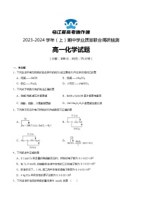 2024重庆市乌江新高考协作体高一上学期期中化学试题含答案