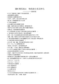 高中考试化学特训练习含答案——物质的分类及转化