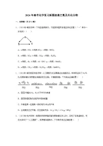 2024届高三化学二轮复习 氮及其化合物专题训练