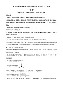 2024湖南省五市十校教研教改共同体高三上学期12月大联考试题化学含解析