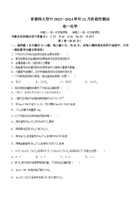 北京市首都师范大学附属中学2023-2024学年高一上学期12月月考化学试题