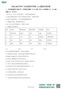 广东省深圳中学2022-2023学年高一上学期期末考试化学试题