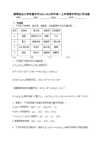 湖南师范大学附属中学2023-2024学年高一上学期期中考试化学试卷(含答案)