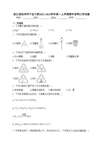 浙江省杭州市六县九校2023-2024学年高一上学期期中联考化学试卷(含答案)