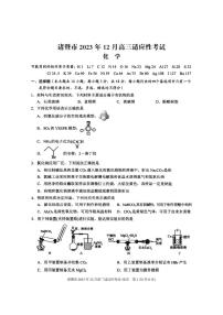 2024届浙江省诸暨市高三上学期12月诊断性考试化学试题及答案