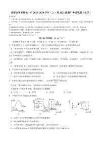 四川省成都金苹果锦城第一中学2023-2024学年高二上学期期中考试化学试题