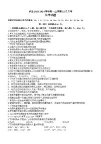 四川省泸州市泸县2023-2024学年高一上学期12月月考化学试卷（含答案）