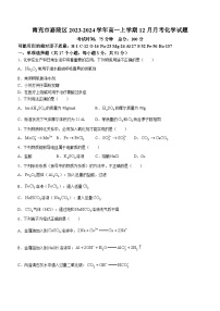 四川省南充市嘉陵区2023-2024学年高一上学期12月月考化学试题（含答案）