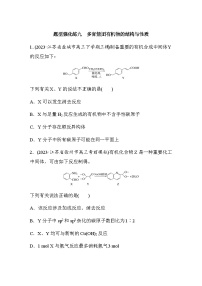 题型强化练九　多官能团有机物的结构与性质（含答案）-2024年高考化学二轮复习