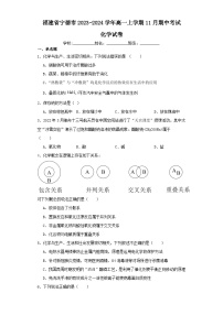 福建省宁德市2023-2024学年高一上学期11月期中考试化学试卷（含解析）