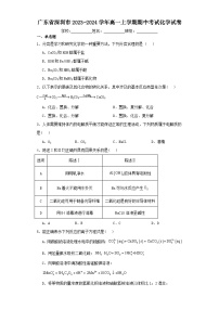 广东省深圳市2023-2024学年高一上学期期中考试化学试卷（含解析）