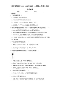 河南省漯河市2023-2024学年高一上学期11月期中考试化学试卷（含解析）