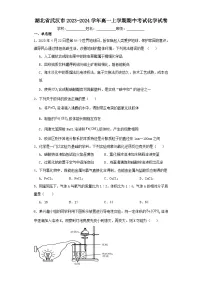 湖北省武汉市2023-2024学年高一上学期期中考试化学试卷（含解析）