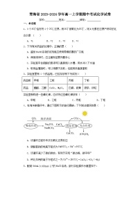 青海省2023-2024学年高一上学期期中考试化学试卷（含解析）