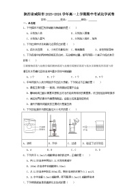 陕西省咸阳市2023-2024学年高一上学期期中考试化学试卷（含解析）