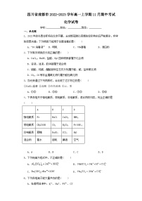 四川省成都市2022-2023学年高一上学期11月期中考试化学试卷（含解析）