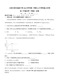 上海市复兴高级中学2023-2024学年高二上学期12月学科能力评估化学（等级）试卷(无答案)