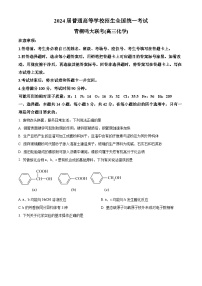 河南省青铜鸣大联考2023-2024学年高三上学期12月月考化学试题