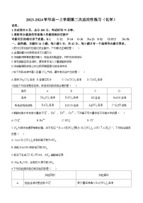 2024厦门一中高一上学期12月月考试题化学含答案