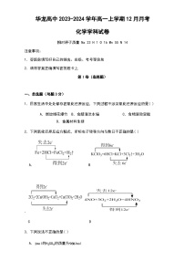 河南省南阳市宛城区华龙高中2023-2024学年高一上学期12月月考化学试题（含答案）