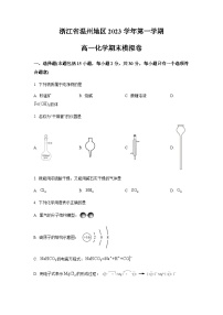 浙江省温州地区2023-2024学年高一上学期期末模拟化学试题（含答案）