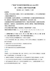 广东省广州市西关外国语学校2023-2024学年高一上学期11月期中考试化学试题（解析版）