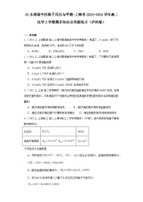 02水溶液中的离子反应与平衡-上海市2023-2024学年高二化学上学期期末知识点突破练习（沪科版）