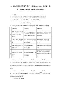 04氧化还原反应和离子反应-上海市2023-2024学年高一化学上学期期末知识点突破练习（沪科版）