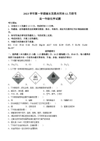 2024丽水发展共同体高一上学期12月联考试题化学含答案