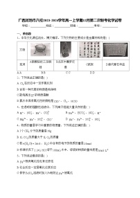 广西河池市八校2023-2024学年高一上学期12月第二次联考化学试卷(含答案)