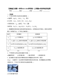 甘肃省兰州第一中学2023-2024学年高一上学期10月月考化学试卷(含答案)