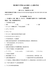 重庆市南开中学校2022-2023学年高一上学期1月期末考试化学试题（含答案解析）