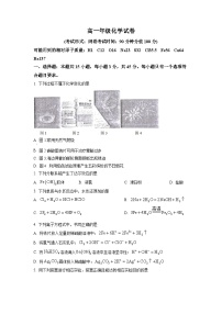 广西南宁市2022-2023学年高一上学期期末考试化学试题（含答案解析）