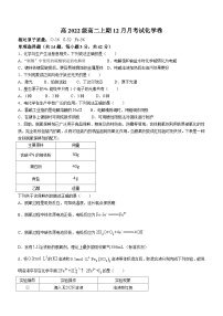 2024四川省仁寿一中校南校区高二上学期12月月考化学试题无答案