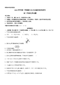 2024浙江省北斗星盟高二上学期12月阶段性联考试题化学含答案