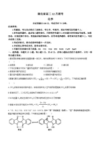 2024湖北省部分学校高三上学期12月阶段性检测化学试题含答案