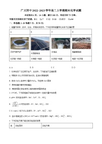 广东省广州大学附属中学2022-2023学年高二上学期期末考试化学试题（含答案解析）