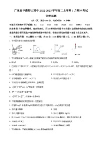广东省华南师范大学附属中学2022-2023学年高二上学期1月期末化学试题（含答案解析）