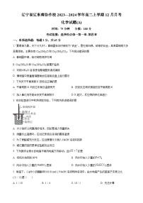 辽宁省辽东南协作校2023-2024学年高二上学期12月月考化学试题（A卷）（Word版附解析）