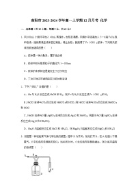 河南省南阳市2023-2024学年高一上学期12月月考化学试题（解析版）