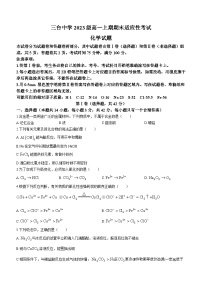 四川省绵阳市三台中学校2023-2024学年高一上学期期末适应性考化学试题(无答案)