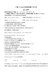 云南省文山州广南县第十中学校2023-2024学年高二上学期10月月考化学试题(无答案)