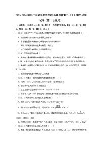 广东省东莞市东莞中学松山湖学校2023-2024学年高二上学期期中考试化学试题