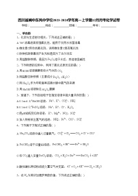 四川省阆中东风中学校2023-2024学年高一上学期12月月考化学试卷(含答案)