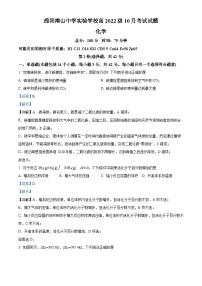 四川省绵阳市南山中学实验学校2023-2024学年高二上学期10月月考化学试题（Word版附解析）